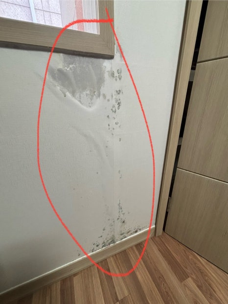 검암동 복층 빌라 누수 - 벽 젖음, 마룻바닥 물 올라옴
